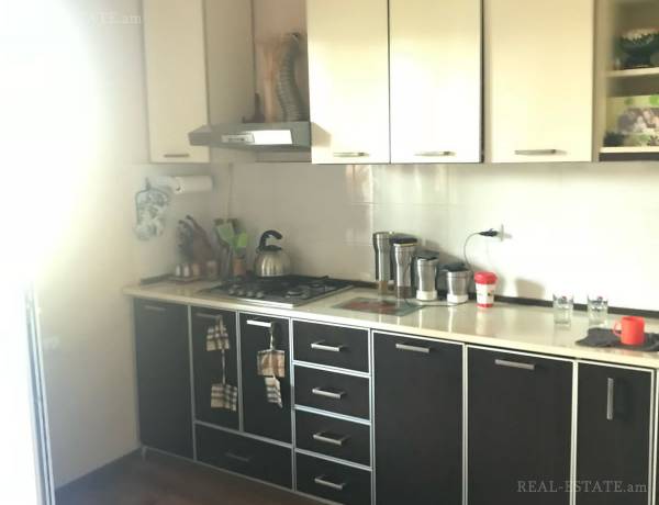3-senyakanoc-bnakaran-vacharq-Yerevan-Arabkir