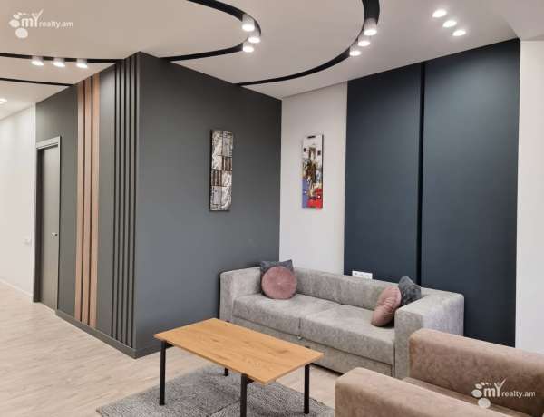 3-senyakanoc-bnakaran-vardzakalutyun-Yerevan-Arabkir