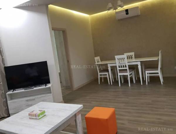 2-senyakanoc-bnakaran-vardzakalutyun-Yerevan-Center