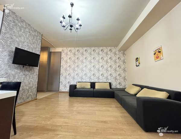 3-senyakanoc-bnakaran-vardzakalutyun-Yerevan-Arabkir