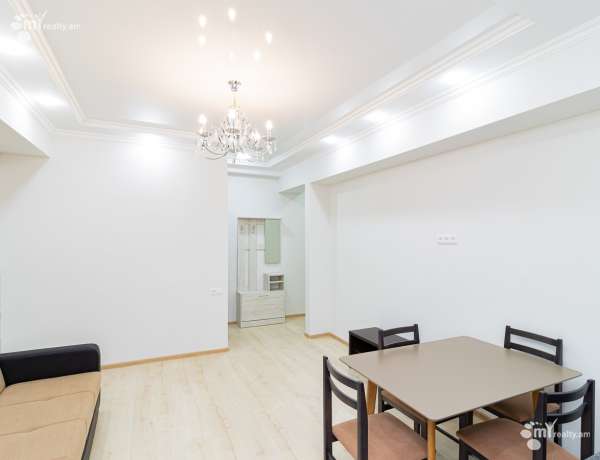 2-senyakanoc-bnakaran-vardzakalutyun-Yerevan-Arabkir