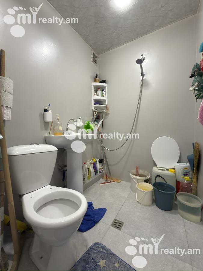 1 սենյականոց բնակարան  Լեփսիուսի   փող, Քանաքեռ-Զեյթուն Երևան, 156474