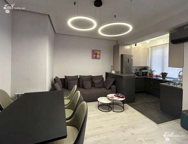 2-senyakanoc-bnakaran-vardzakalutyun-Yerevan-Arabkir