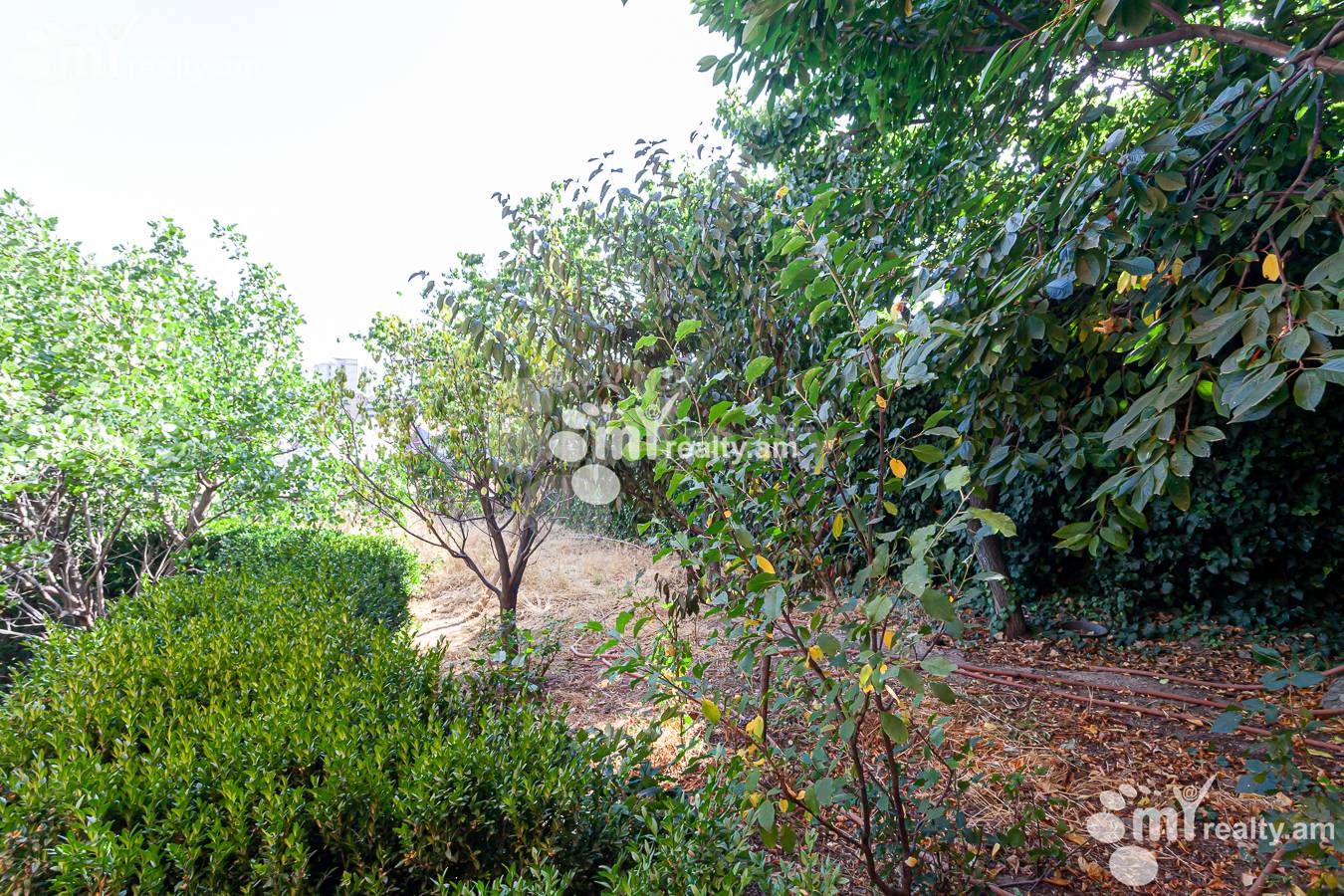 Առանձնատուն  Պռոշյան 1 նրբ., Կենտրոն Երևան, 155897