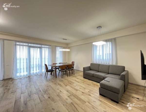 3-senyakanoc-bnakaran-vardzakalutyun-Yerevan-Nor-Nork