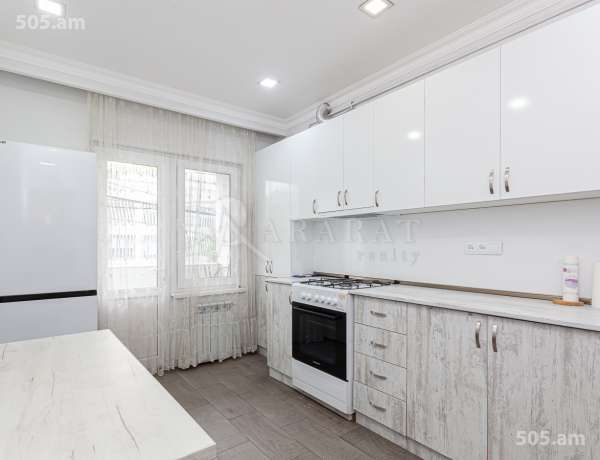 3-senyakanoc-bnakaran-vardzakalutyun-Yerevan-Arabkir