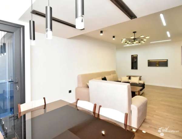 3-senyakanoc-bnakaran-vardzakalutyun-Yerevan-Center