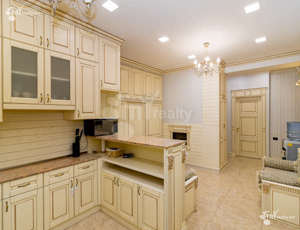 3-senyakanoc-bnakaran-vardzakalutyun-Yerevan-Center