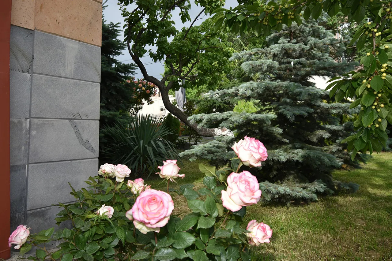 House for sale Norq 5 St, Norque Marache Yerevan, 158058