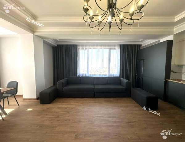 4-senyakanoc-bnakaran-vardzakalutyun-Yerevan-Ajapnyak