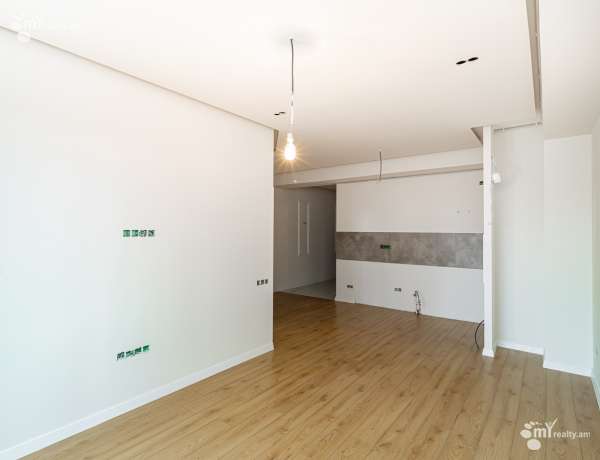 2-senyakanoc-bnakaran-vacharq-Yerevan-Arabkir