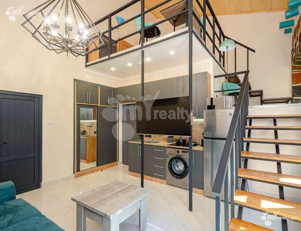 2-senyakanoc-bnakaran-vardzakalutyun-Yerevan-Center