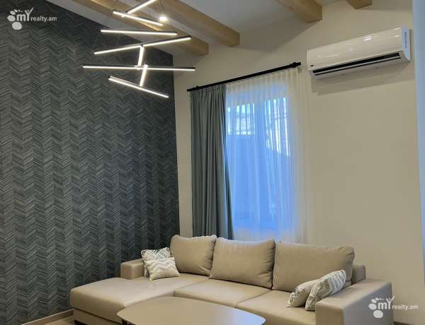 3-senyakanoc-bnakaran-vardzakalutyun-Yerevan-Center