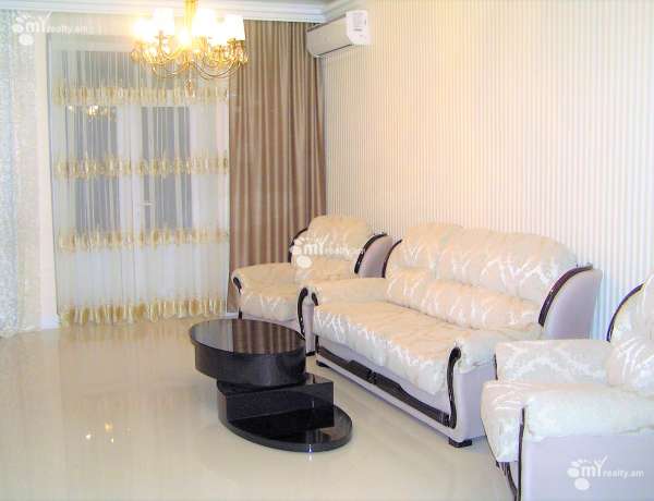 3-senyakanoc-bnakaran-vardzakalutyun-Yerevan-Center