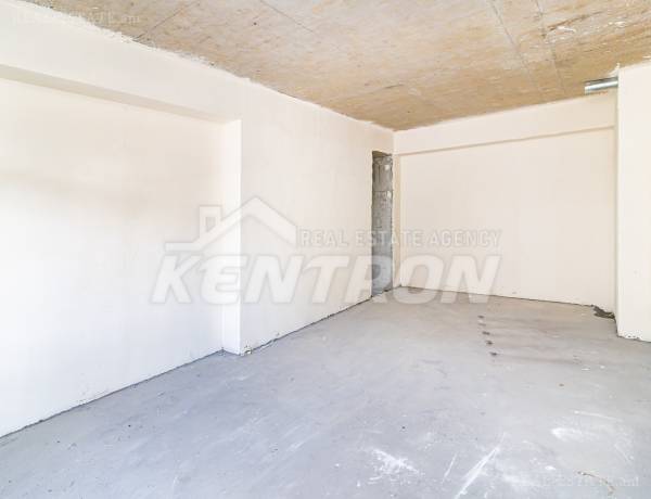 2-senyakanoc-bnakaran-vacharq-Yerevan-Arabkir