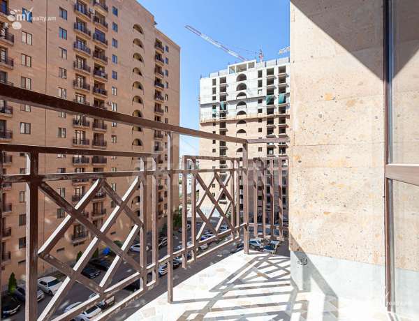 2-senyakanoc-bnakaran-vardzakalutyun-Yerevan-Davtashen