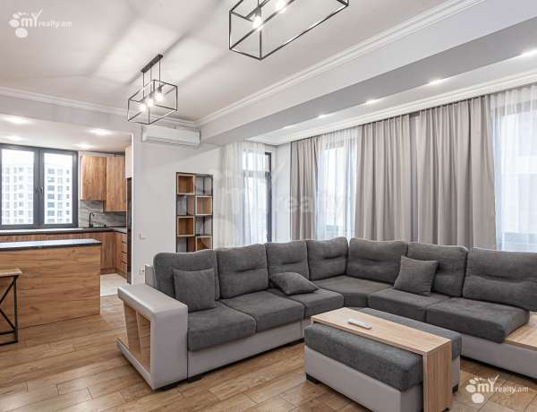 3-senyakanoc-bnakaran-vardzakalutyun-Yerevan-Arabkir