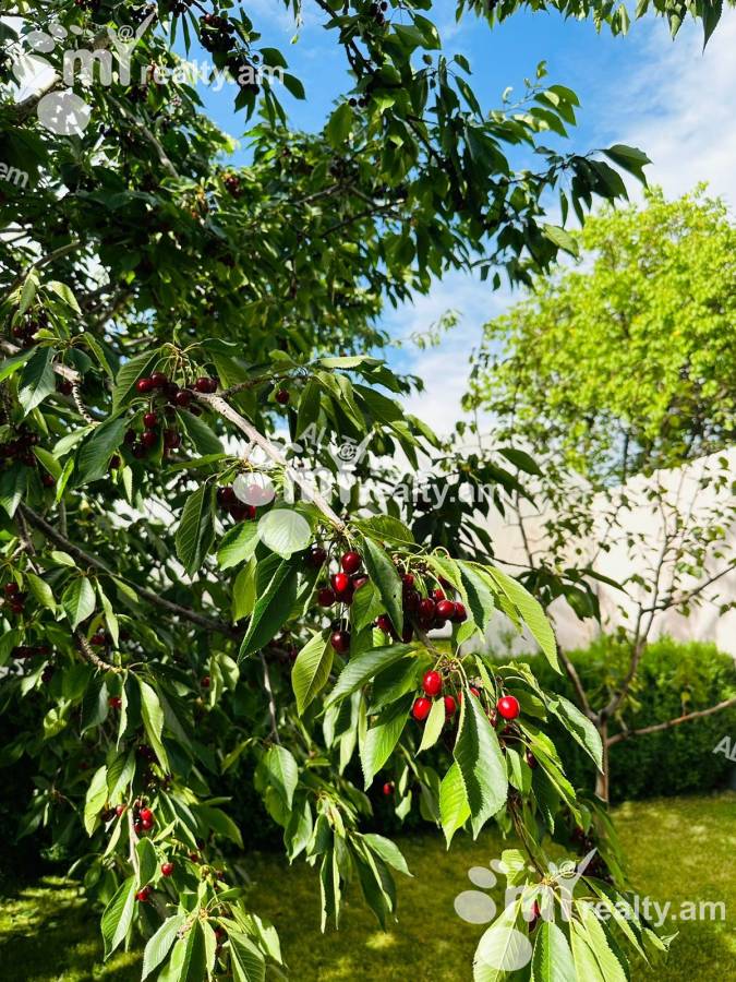 House for rent Paraqar, Paraqar Armavir, 149801