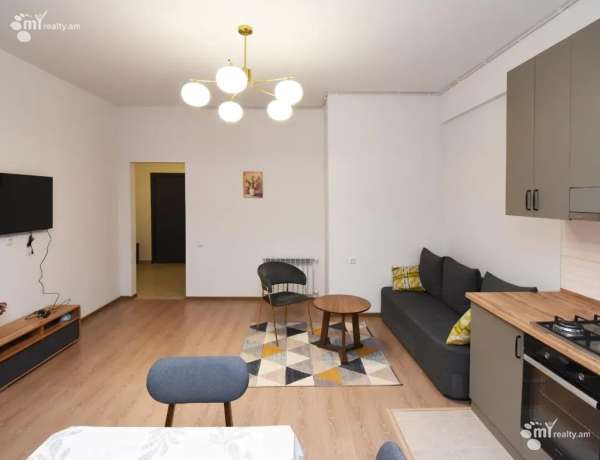 2-senyakanoc-bnakaran-vardzakalutyun-Yerevan-Arabkir