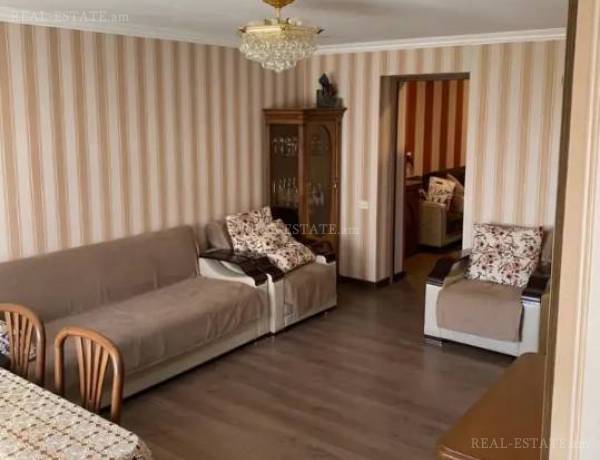 3-senyakanoc-bnakaran-vardzakalutyun-Yerevan-Center