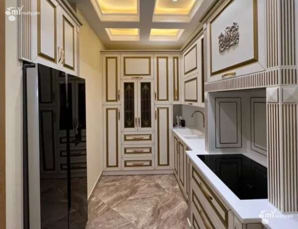 3-senyakanoc-bnakaran-vardzakalutyun-Yerevan-Center