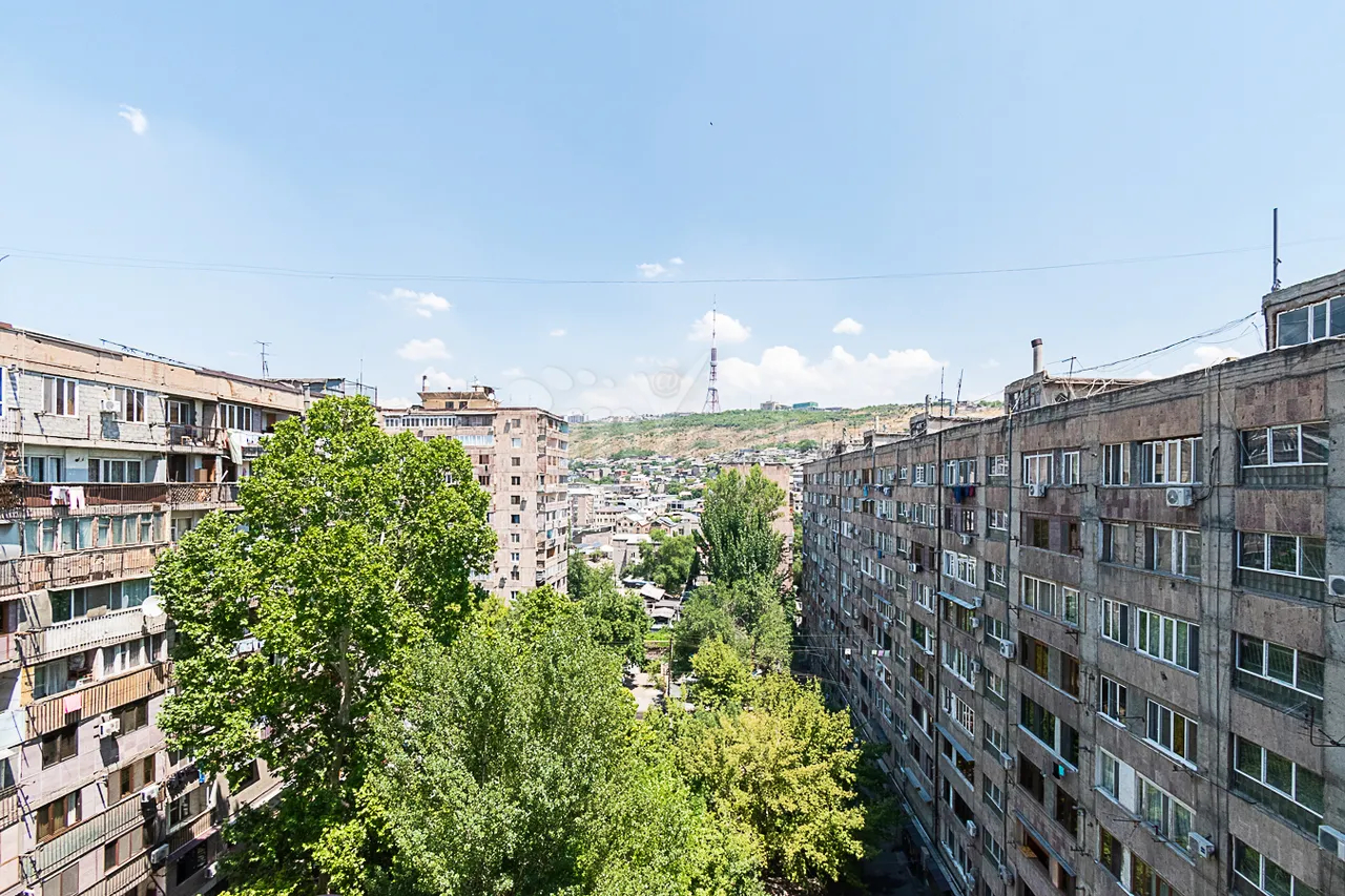 Купить 2 комнатную квартиру Нар Дос ул, Центр Ереван, 160984