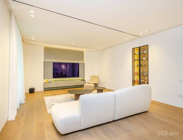 3-senyakanoc-bnakaran-vardzakalutyun-Yerevan-Center