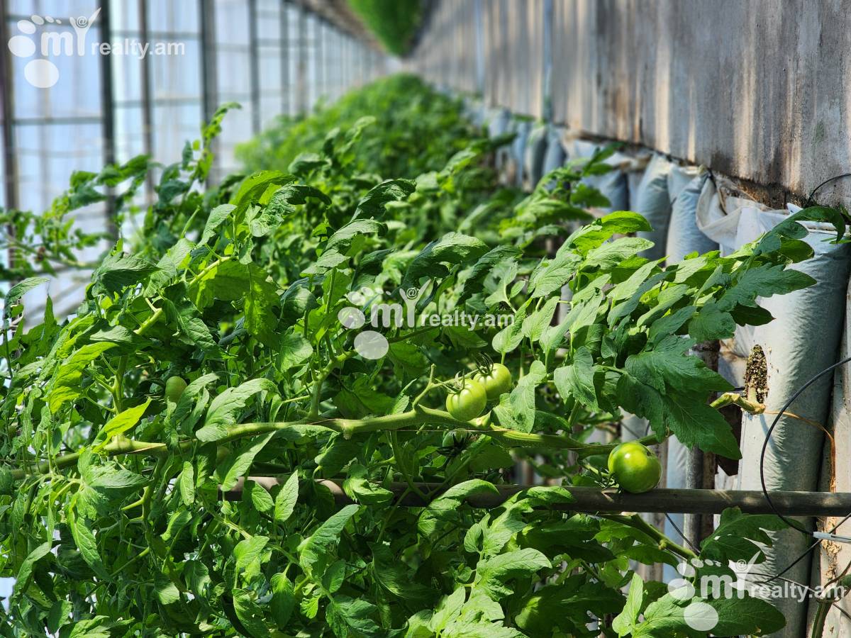 Land for sale Aramus, Aramus Kotayk, 158581