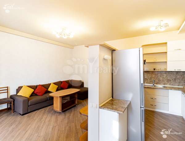 2-senyakanoc-bnakaran-vardzakalutyun-Yerevan-Center