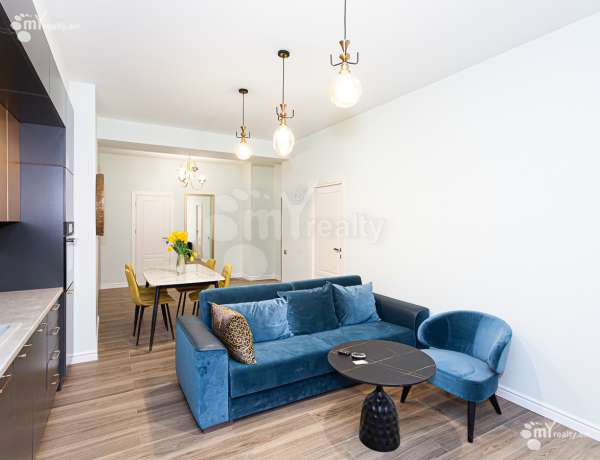 2-senyakanoc-bnakaran-vardzakalutyun-Yerevan-Center