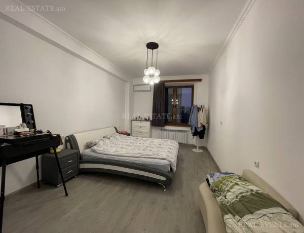 2-senyakanoc-bnakaran-vardzakalutyun-Yerevan-Center