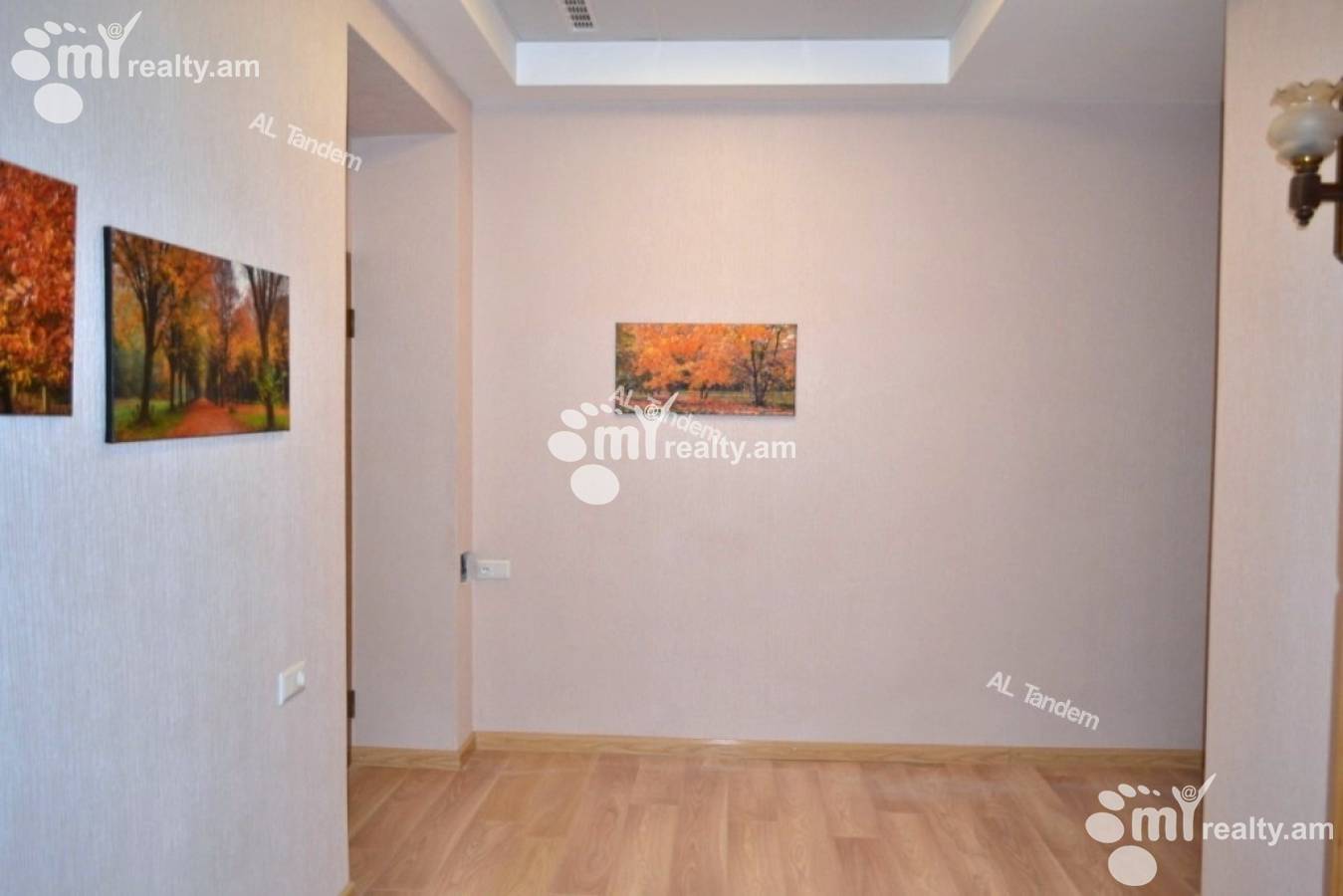 Կոմերցիոն տարածք  Նալբանդյան փող, Կենտրոն Երևան, 154392