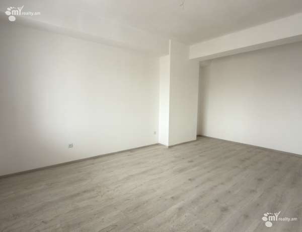 3-senyakanoc-bnakaran-vacharq-Yerevan-Arabkir