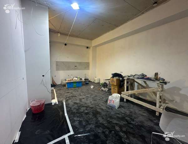 2-senyakanoc-bnakaran-vacharq-Yerevan-Ajapnyak