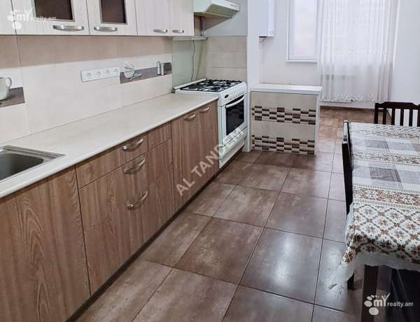 2-senyakanoc-bnakaran-vardzakalutyun-Yerevan-Center