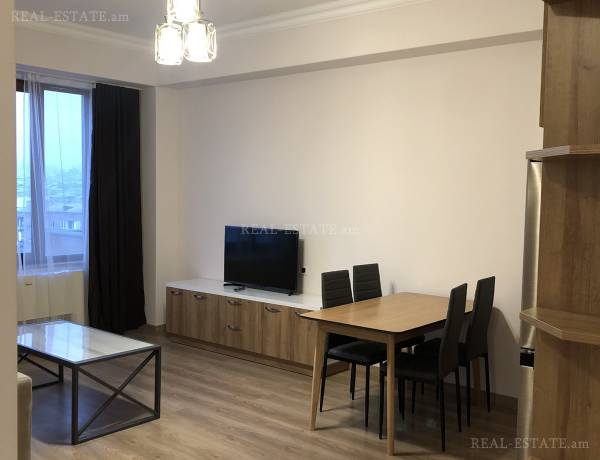 3-senyakanoc-bnakaran-vardzakalutyun-Yerevan-Achapnyak