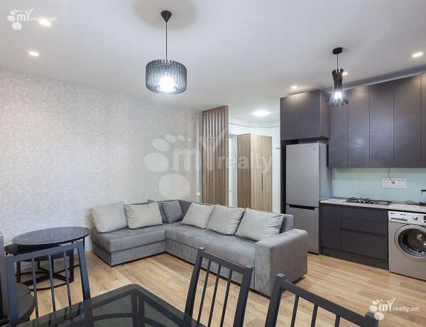 2-senyakanoc-bnakaran-vardzakalutyun-Yerevan-Center