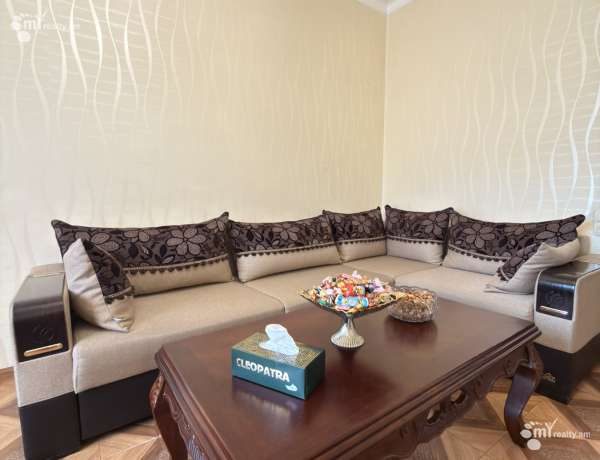 3-senyakanoc-bnakaran-vacharq-Yerevan-Arabkir