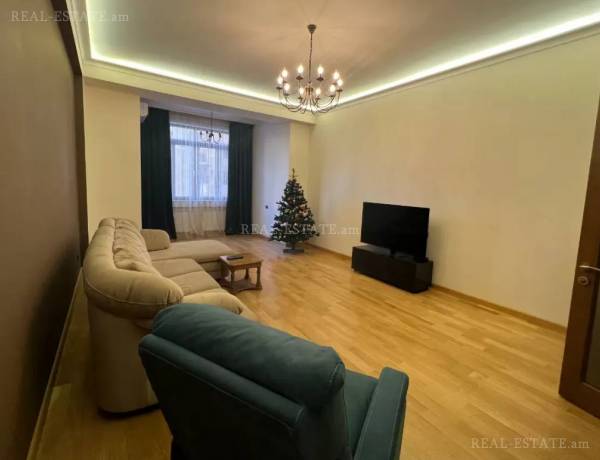 4-senyakanoc-bnakaran-vardzakalutyun-Yerevan-Center