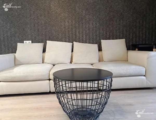 2-senyakanoc-bnakaran-vardzakalutyun-Yerevan-Center