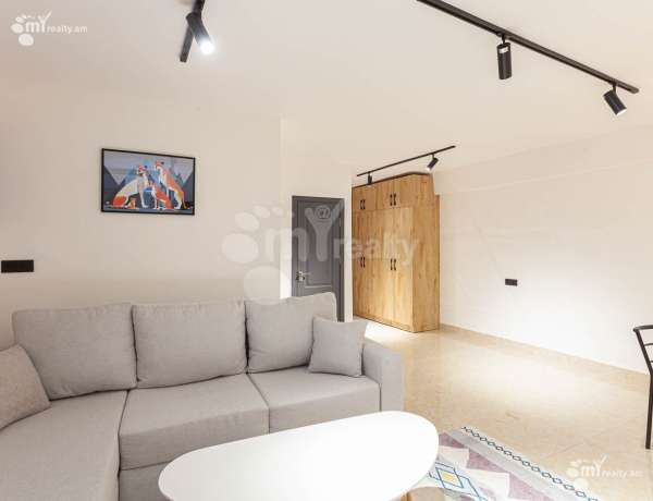 1-senyakanoc-bnakaran-vardzakalutyun-Yerevan-Center