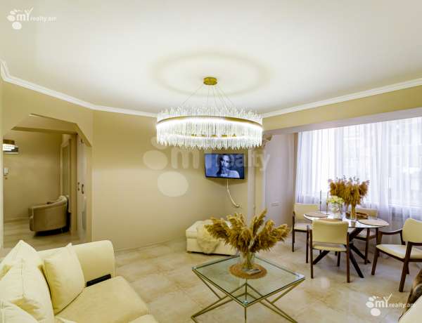 3-senyakanoc-bnakaran-vardzakalutyun-Yerevan-Center