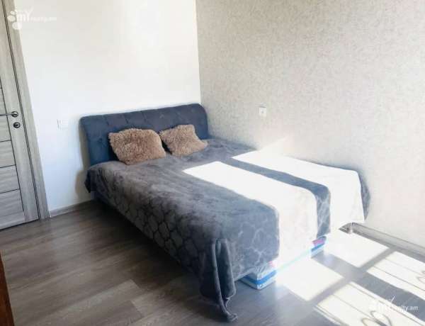 3-senyakanoc-bnakaran-vardzakalutyun-Yerevan-Achapnyak