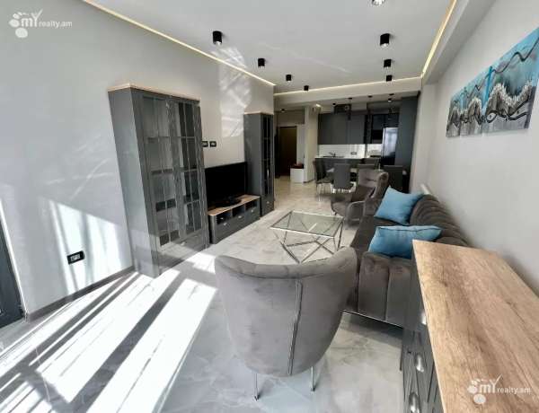 2-senyakanoc-bnakaran-vardzakalutyun-Yerevan-Arabkir