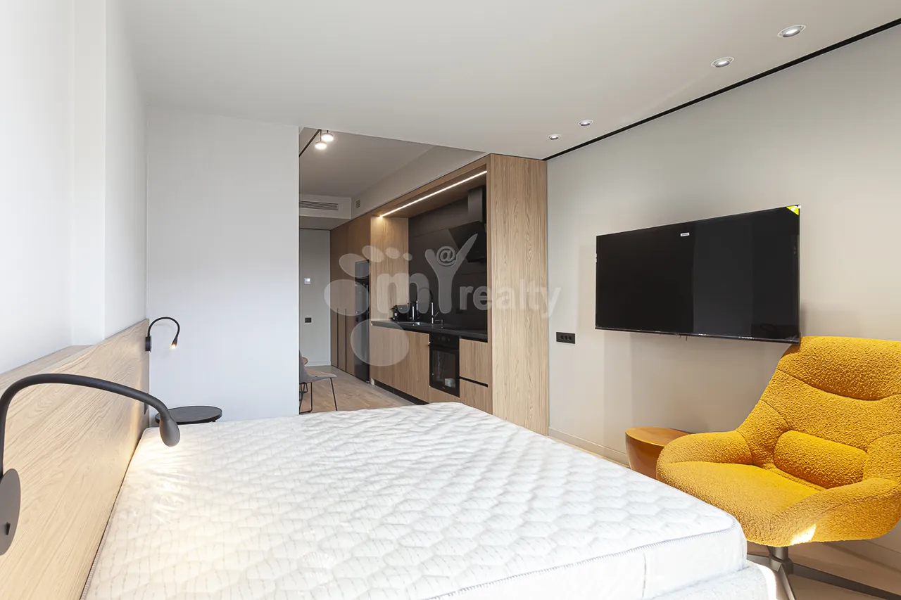 1 bedroom apartment for rent خیابان لئو, مرکز شهر ایروان, 161967