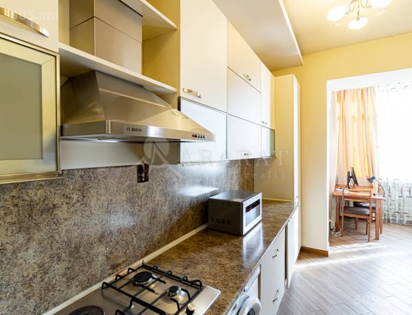 2-senyakanoc-bnakaran-vardzakalutyun-Yerevan-Center