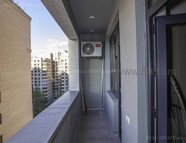 2-senyakanoc-bnakaran-vardzakalutyun-Yerevan-Center