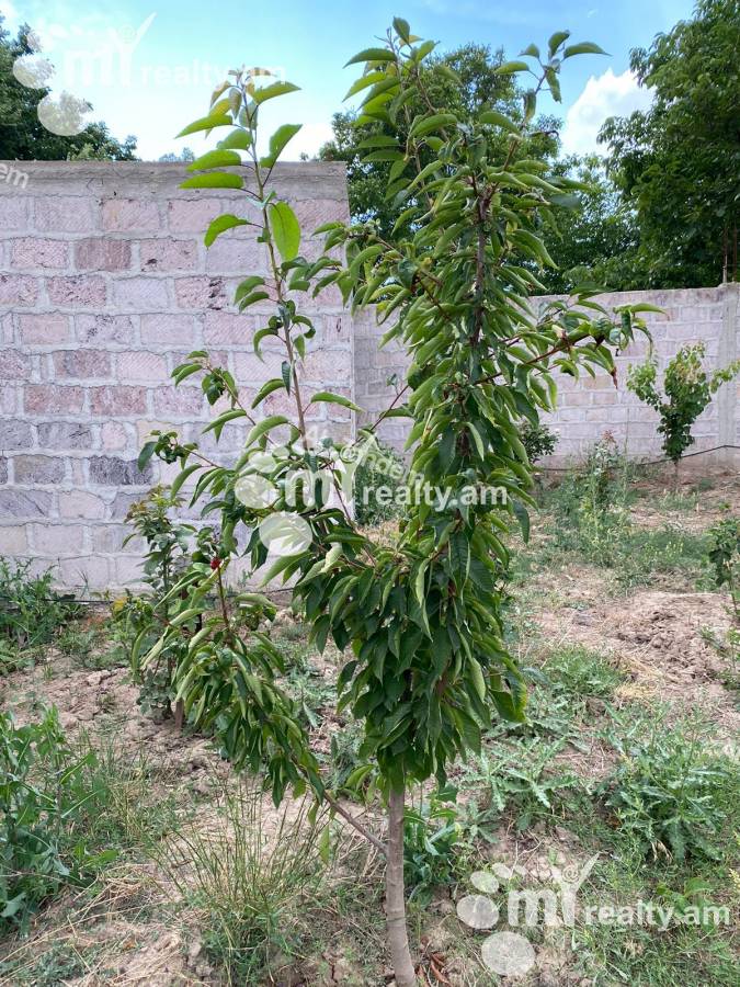 Հողատարածք  Ձորաղբյուր, Ձորաղբյուր Կոտայք, 138432