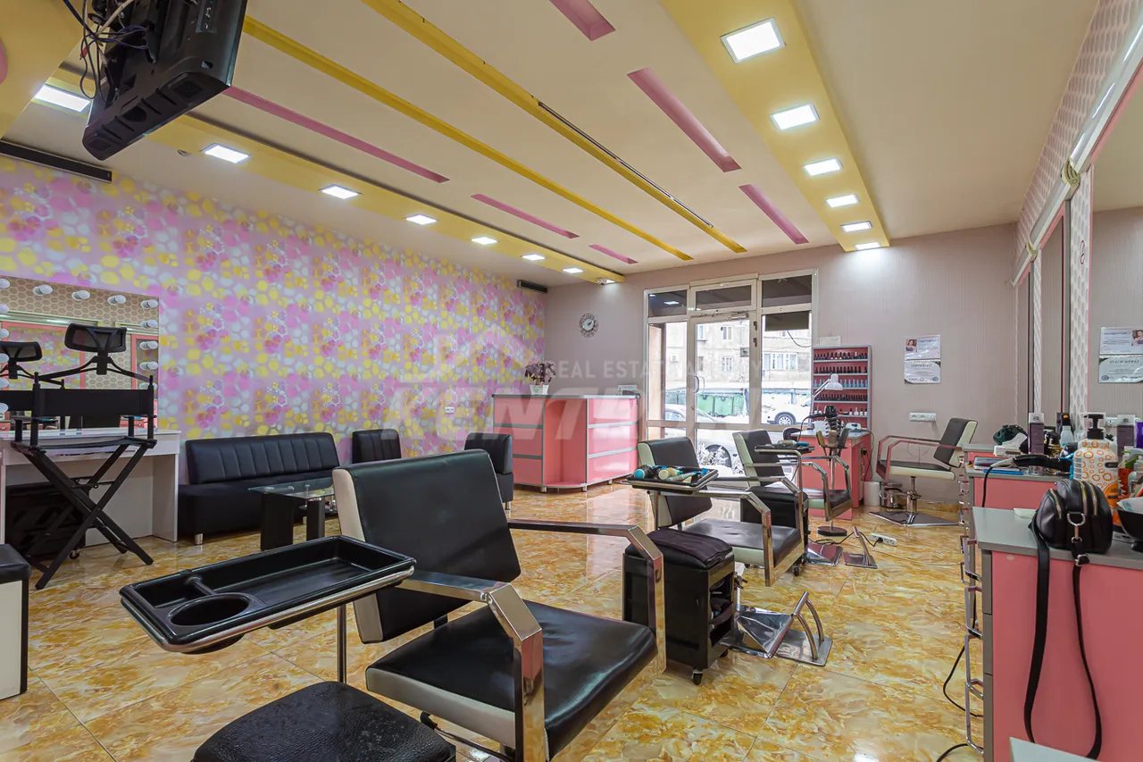 Commercial property for sale K. Ulnetsi St, Quanaquère-Zeytoun Yerevan, 159445