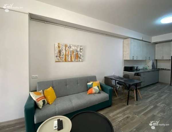 2-senyakanoc-bnakaran-vardzakalutyun-Yerevan-Arabkir